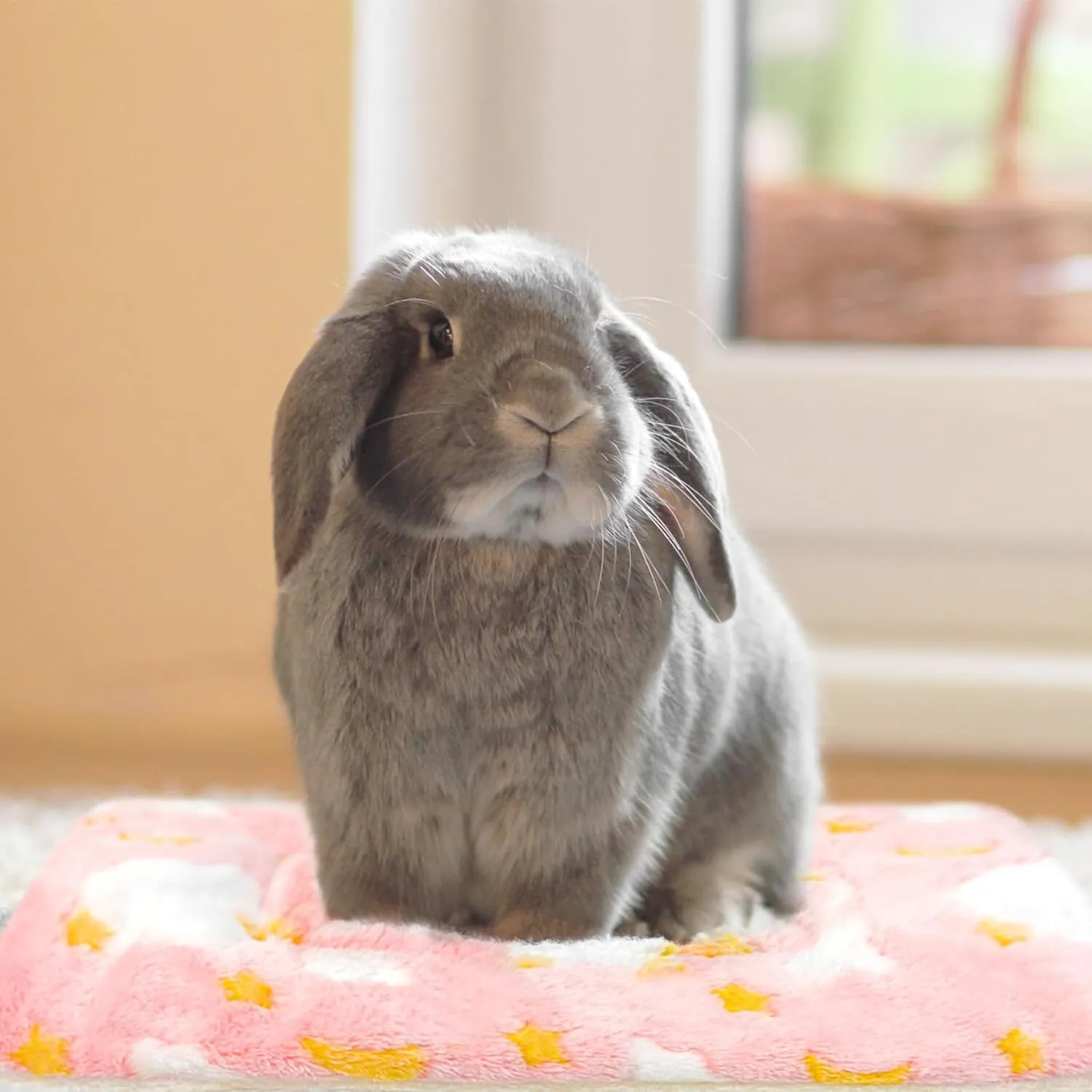 10PCS Guinea Pig Bed Soft Rabbit Bedding Cage Liner Warm Bunny Mats Pee Pads Fleece Blanket Plush Hamster Sleep Beds Ferret Squirrel Hedgehog Rat