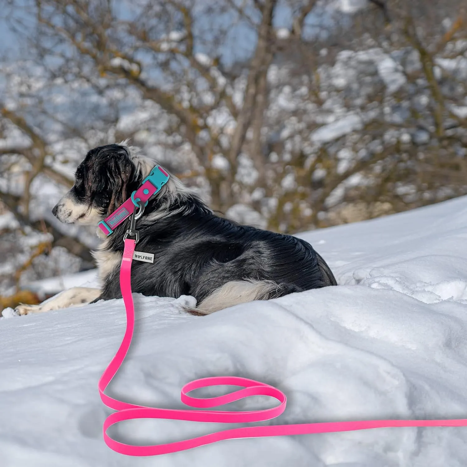 5ft Pink Long Leash - Waterproof Training Dog Leash for Recall, Swimming, Camping, Beach, Hunting, Walking