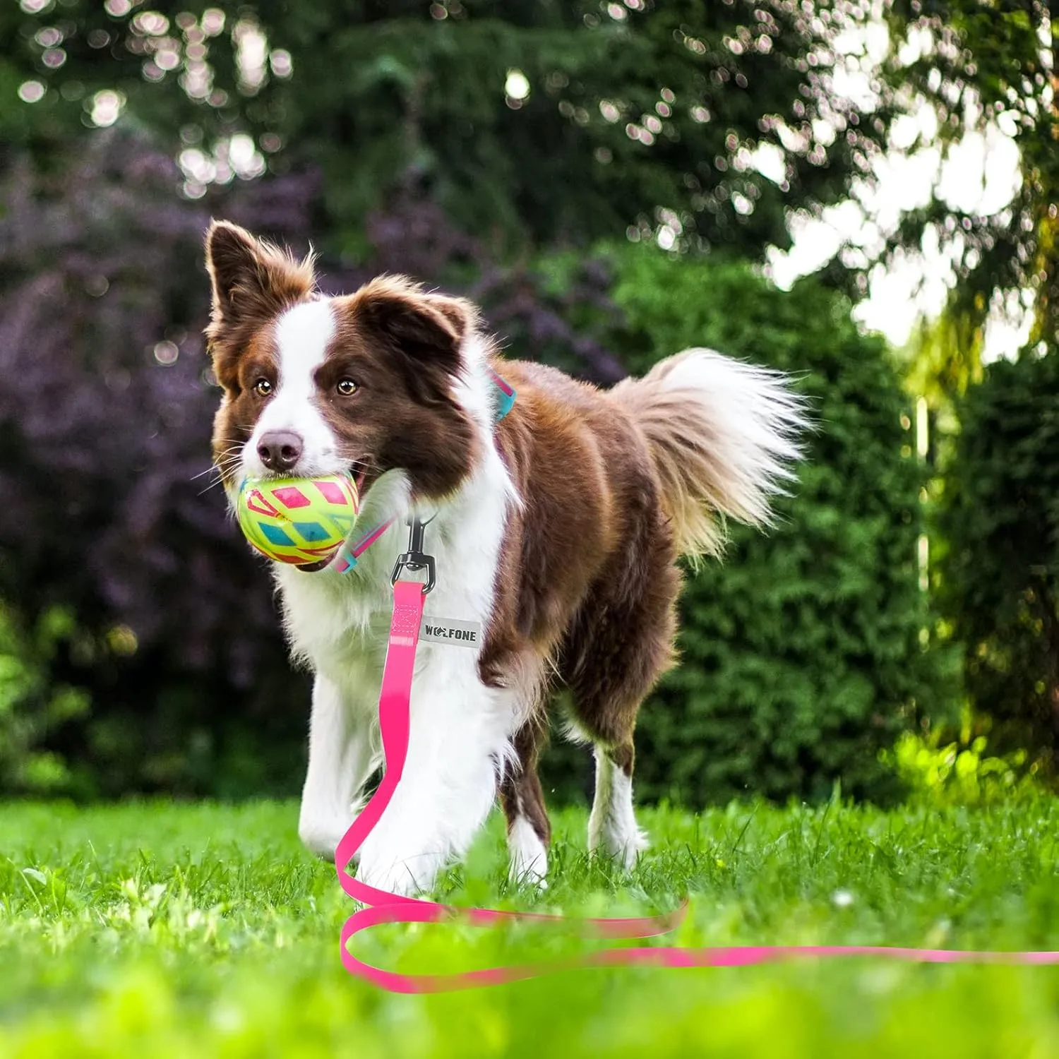 5ft Pink Long Leash - Waterproof Training Dog Leash for Recall, Swimming, Camping, Beach, Hunting, Walking