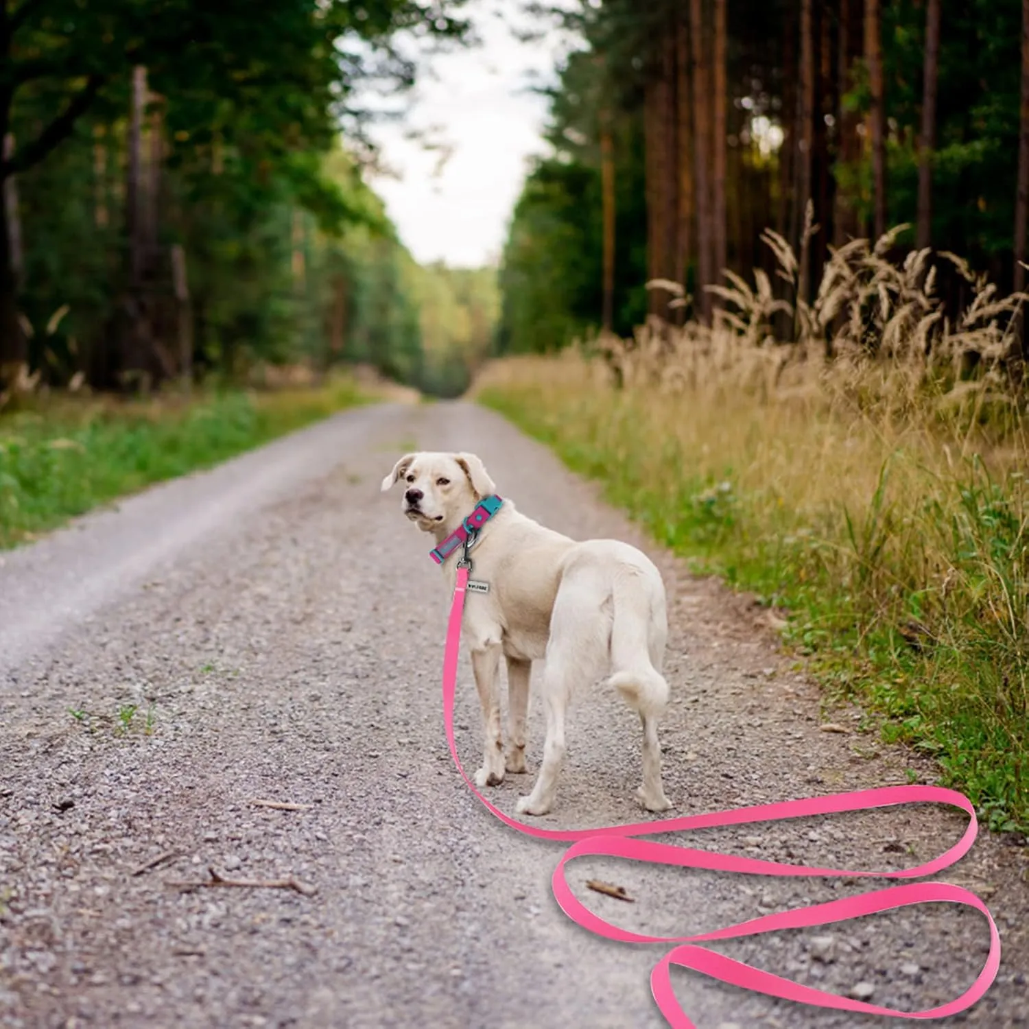 5ft Pink Long Leash - Waterproof Training Dog Leash for Recall, Swimming, Camping, Beach, Hunting, Walking