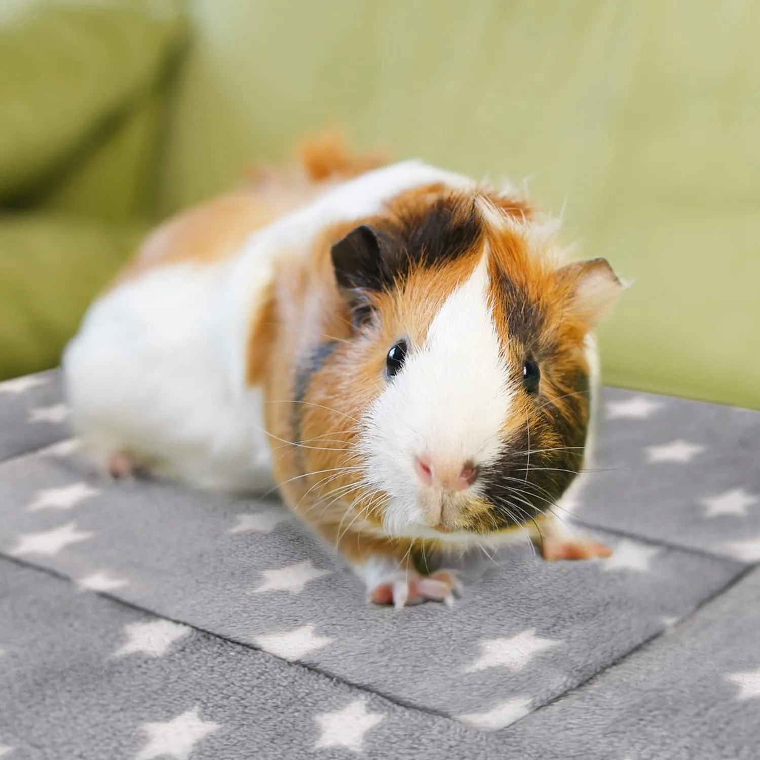 5PCS Guinea Pig Bed Soft Rabbit Bedding Cage Liner Warm Bunny Mats Pee Pads Fleece Blanket Plush Hamster Sleep Beds Ferret Squirrel Hedgehog Rat