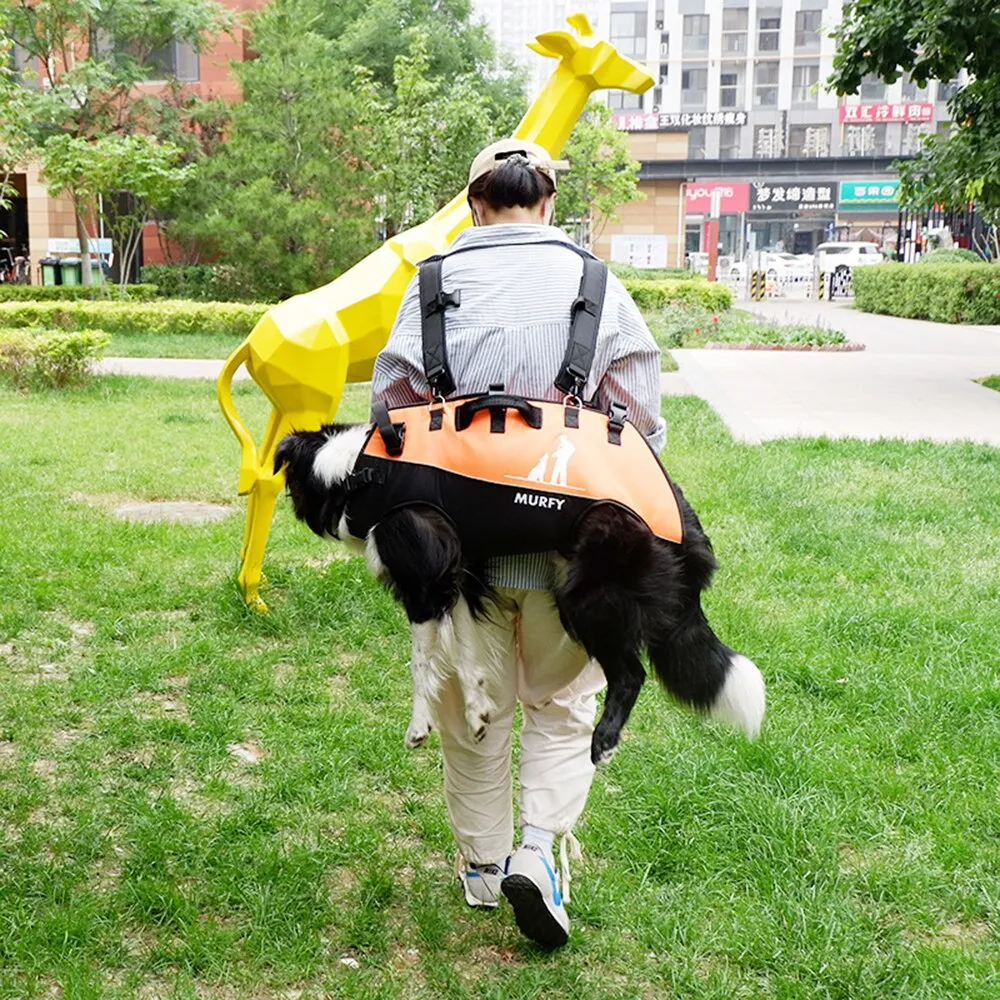 Adventure Companion: Multifunctional Airborne Backpack for Medium and Large Pets with Double Shoulder Straps for Outdoor Walking and Supportive Aid