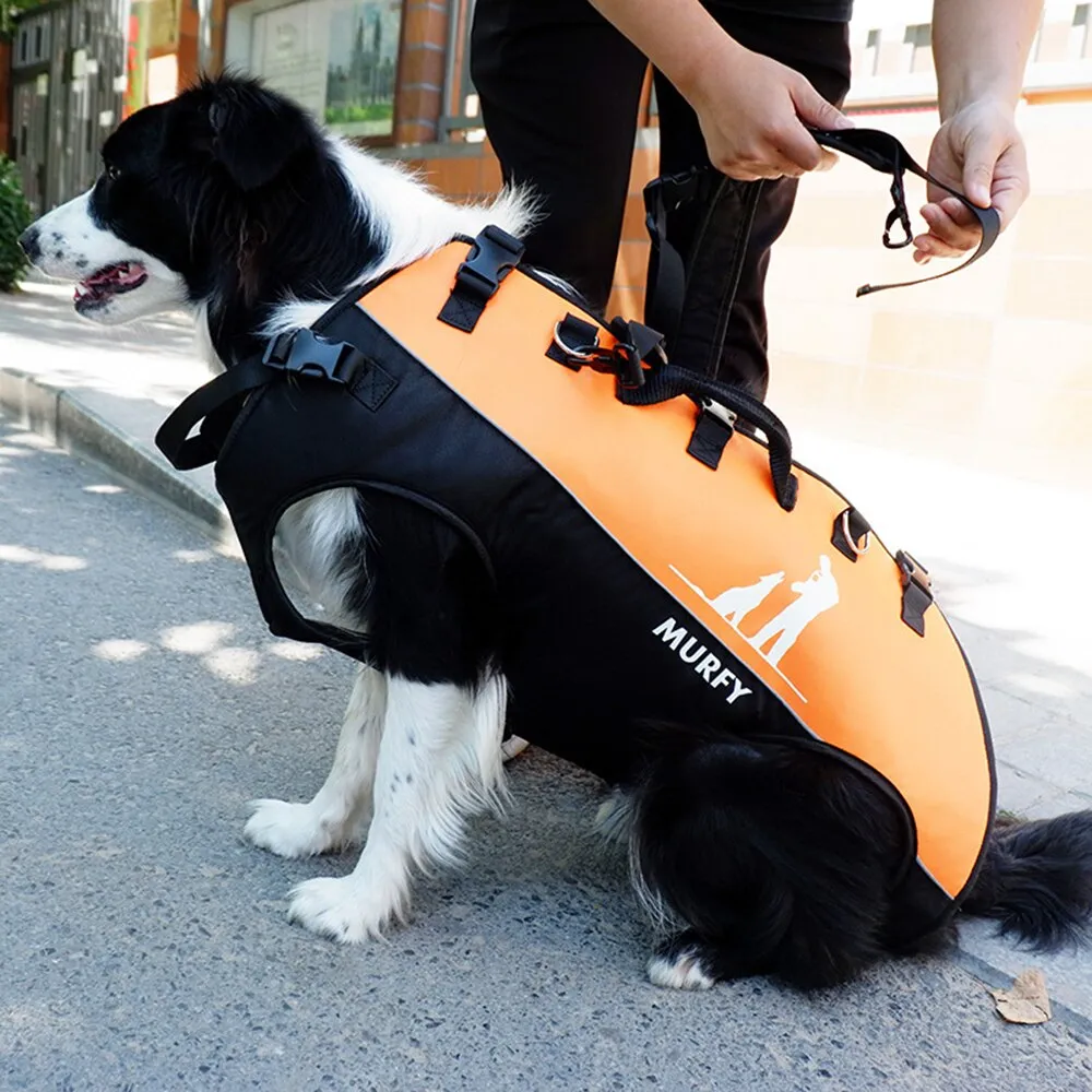 Adventure Companion: Multifunctional Airborne Backpack for Medium and Large Pets with Double Shoulder Straps for Outdoor Walking and Supportive Aid