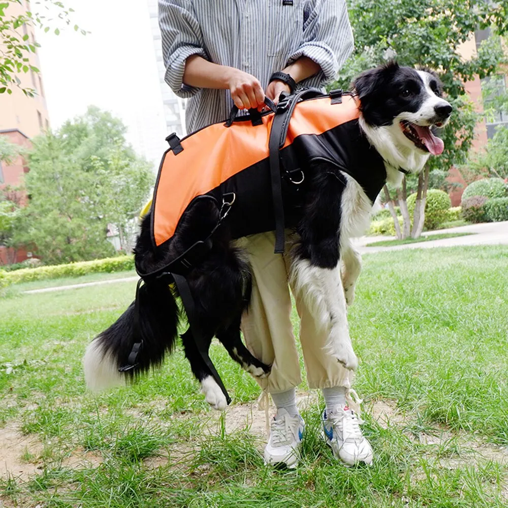 Adventure Companion: Multifunctional Airborne Backpack for Medium and Large Pets with Double Shoulder Straps for Outdoor Walking and Supportive Aid