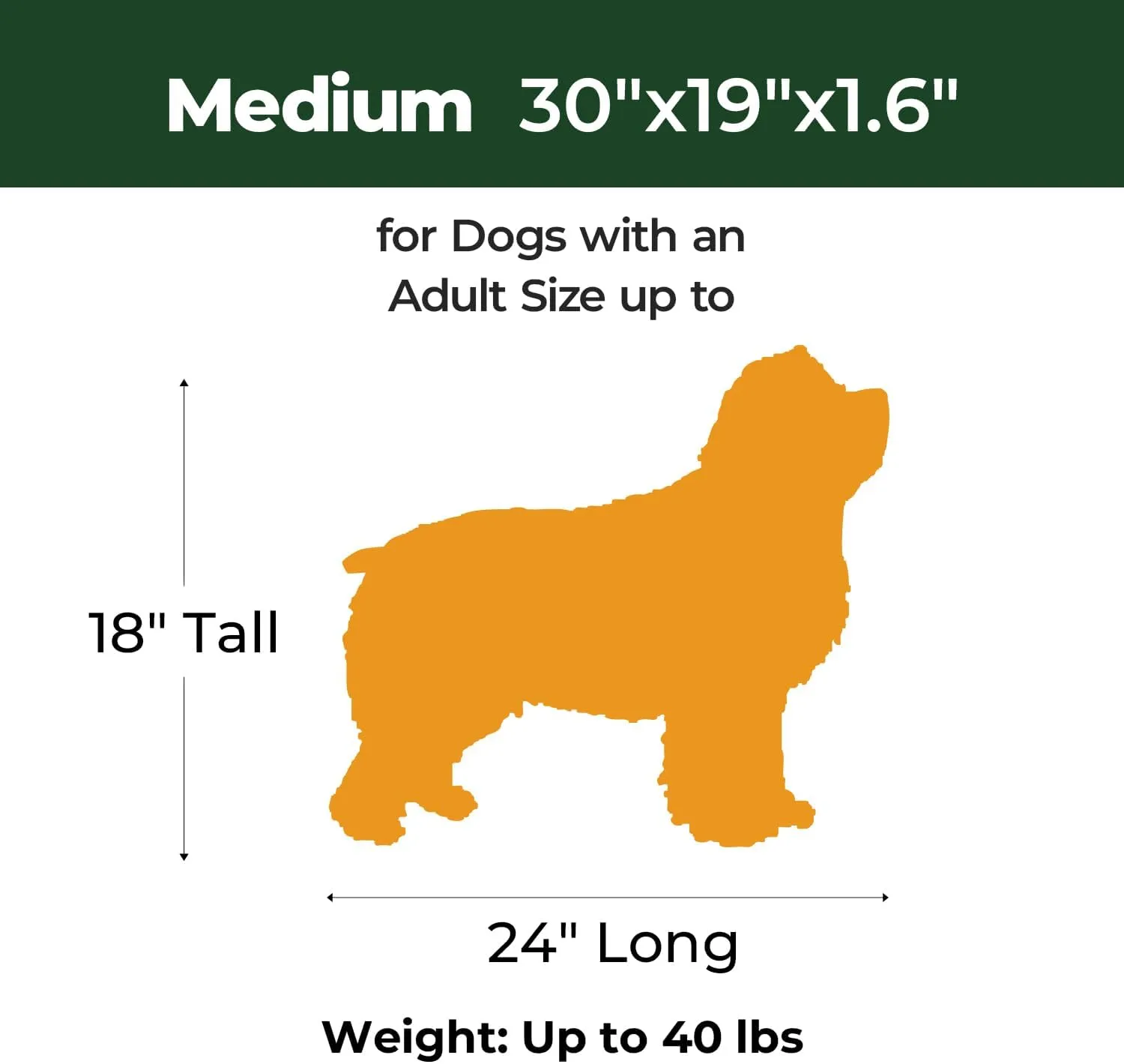BALANCE Dog Crate Bed, Orthopedic Dog Bed Pad with Waterproof Liner, Washable Crate Foam Pet Mat for Large, Medium, Puppy Dogs Breeds, Periscope, 30"x19"x1.6"