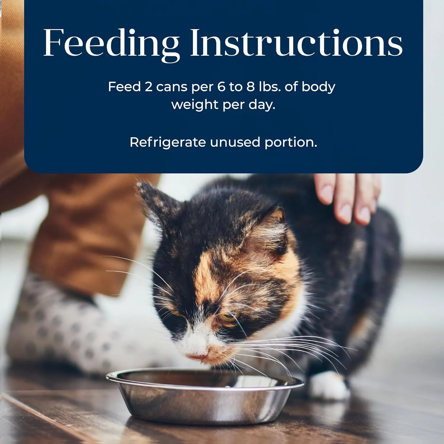 Blue Buffalo Basics Grain-Free Wet Cat Food, Skin & Stomach Care, Limited Ingredient Diet for Indoor Cats, Duck & Potato Entre, 3-oz Cans (24 Count)
