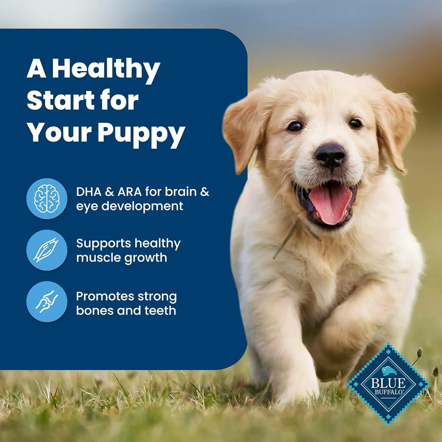 Blue Buffalo Life Protection Formula Puppy Dry Dog Food with DHA and ARA, Made with Natural Ingredients, Chicken & Brown Rice Recipe, 15-lb Bag