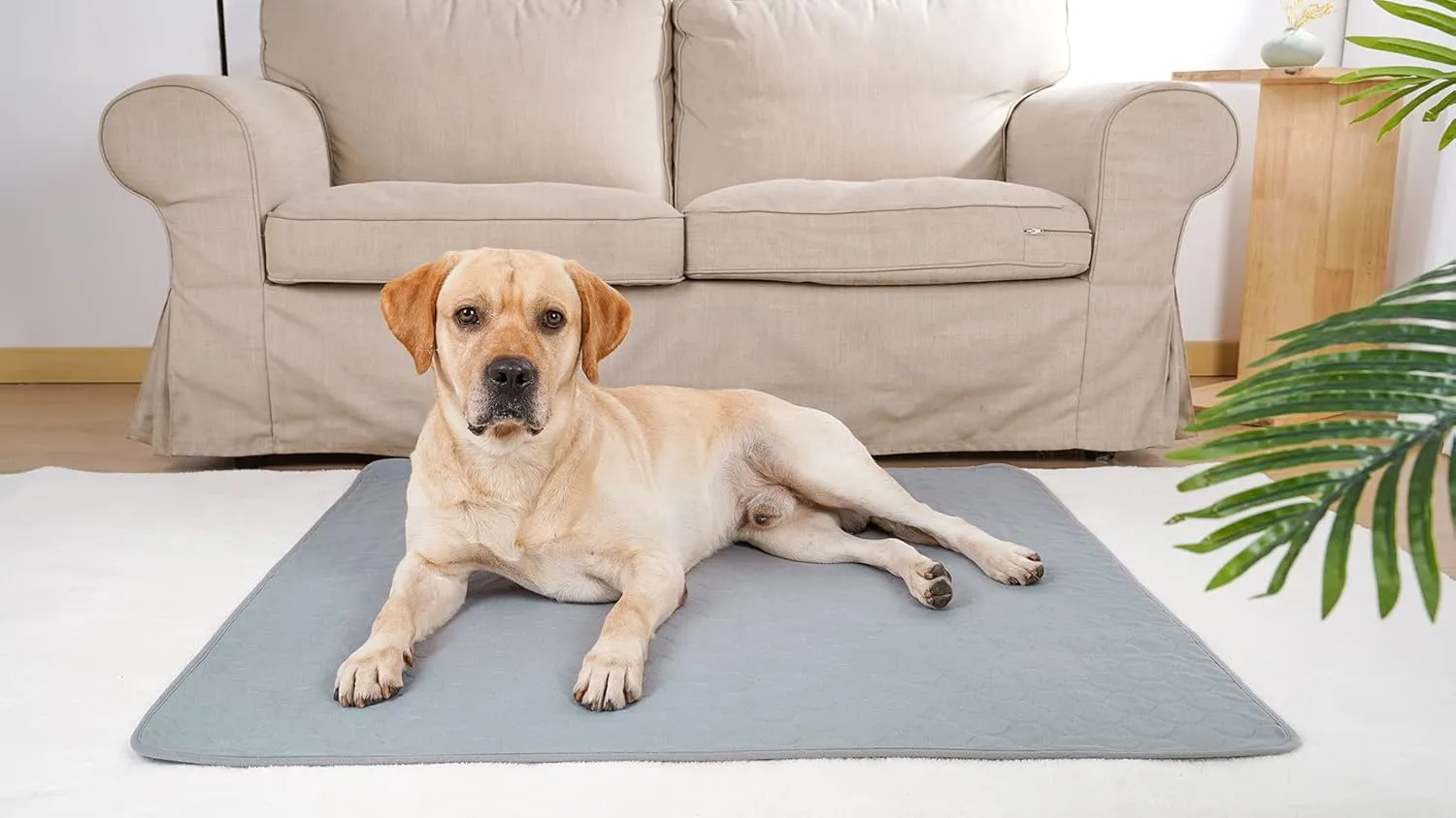 BODISEINT Washable Dog Pee Pads, Quilted Reusable Puppy Pee Pads for Dogs, Whelping Pads Dog Bed Pen Mat Absorbent Pet Dog Potty Training Pads for Playpen, Crate (41 x 41 Inch (2 Pack,Gray))