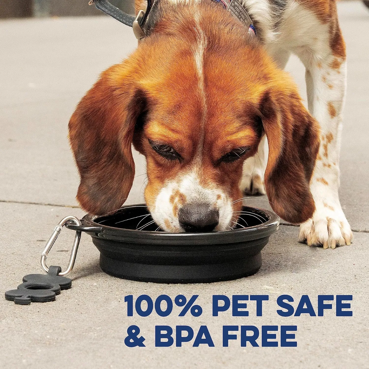 Bonza by Leash Boss Large Collapsible Dog Bowl 1000 mL, Sturdy Reinforced Rim, Includes Carabiner & Water Bottle Holder Keychain, Moss Green