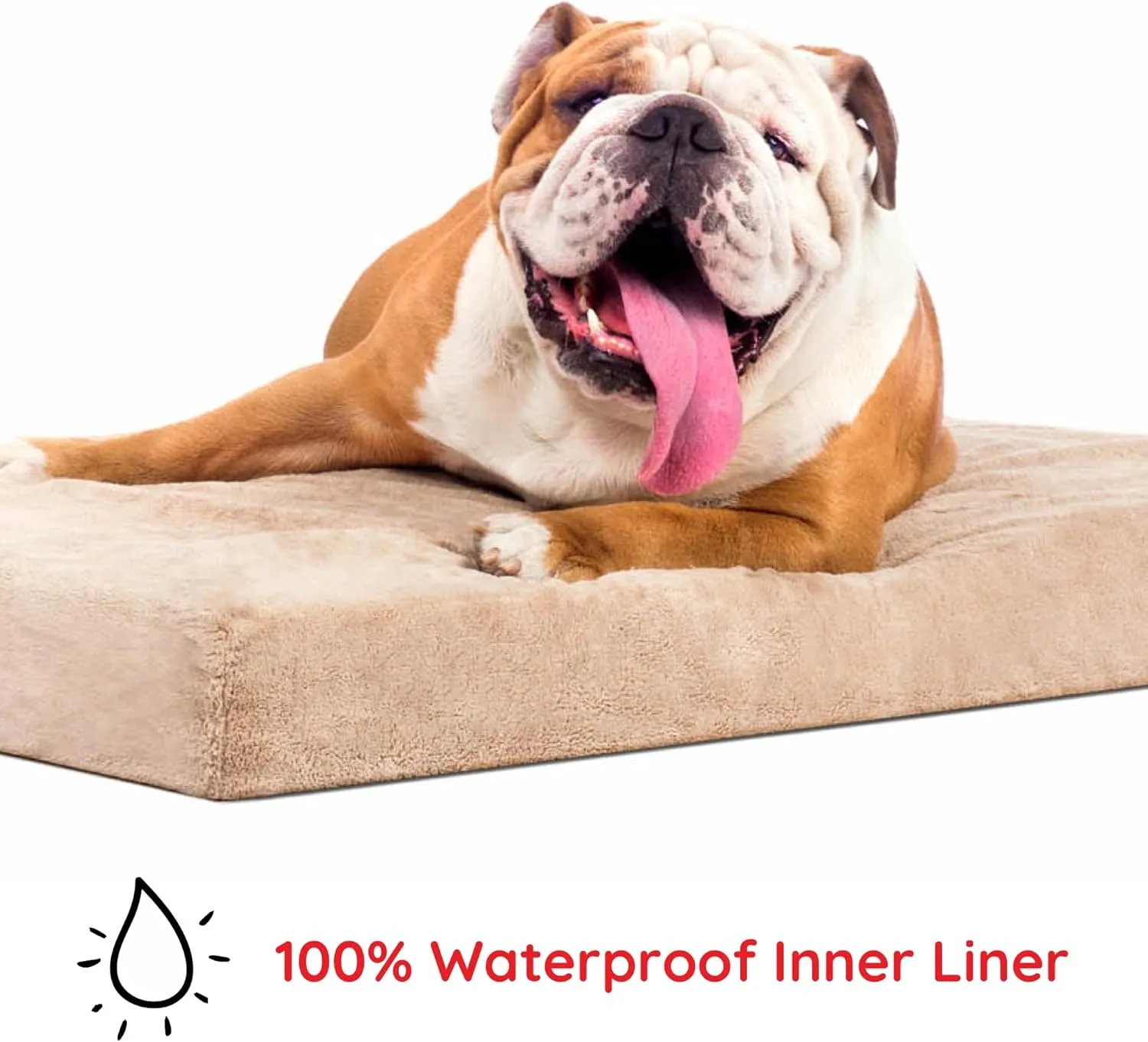 BRINDLE  -  - 4  - 