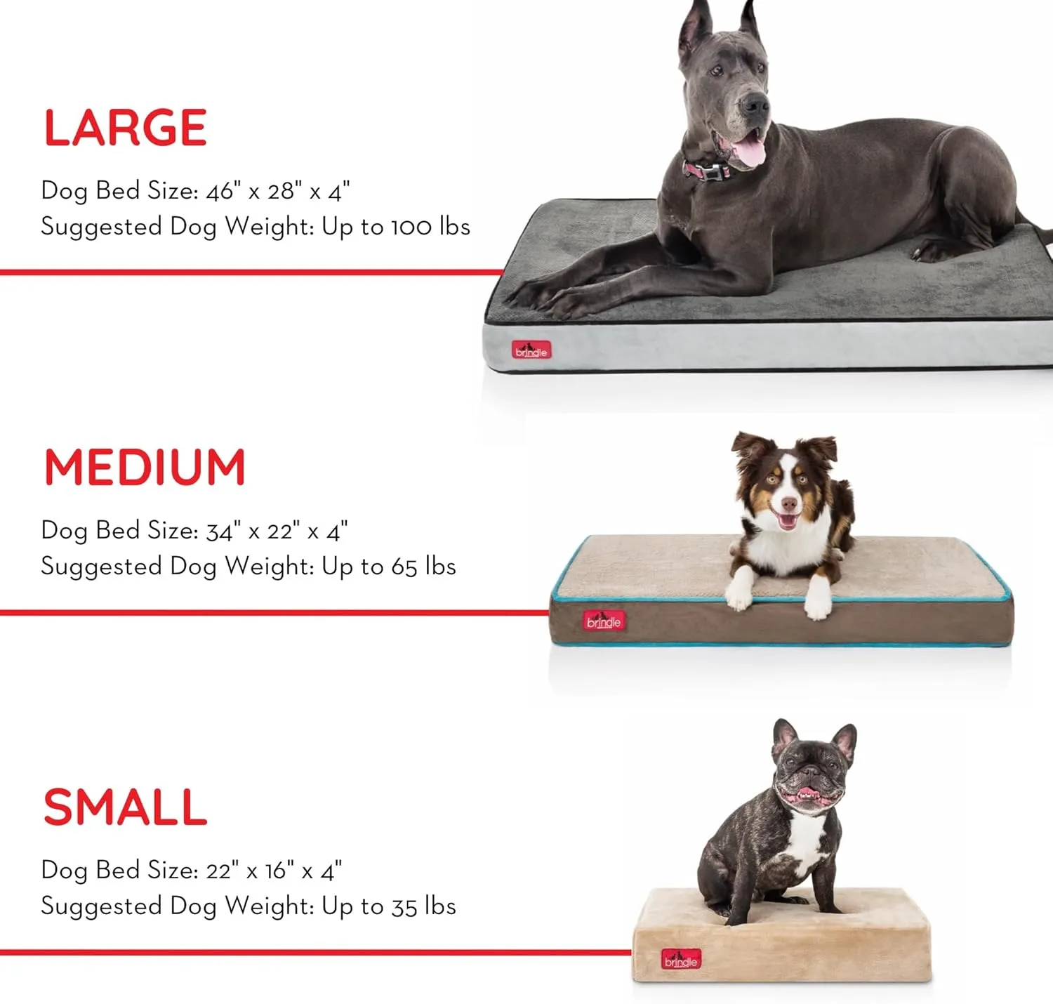 BRINDLE  -  - 4  - 