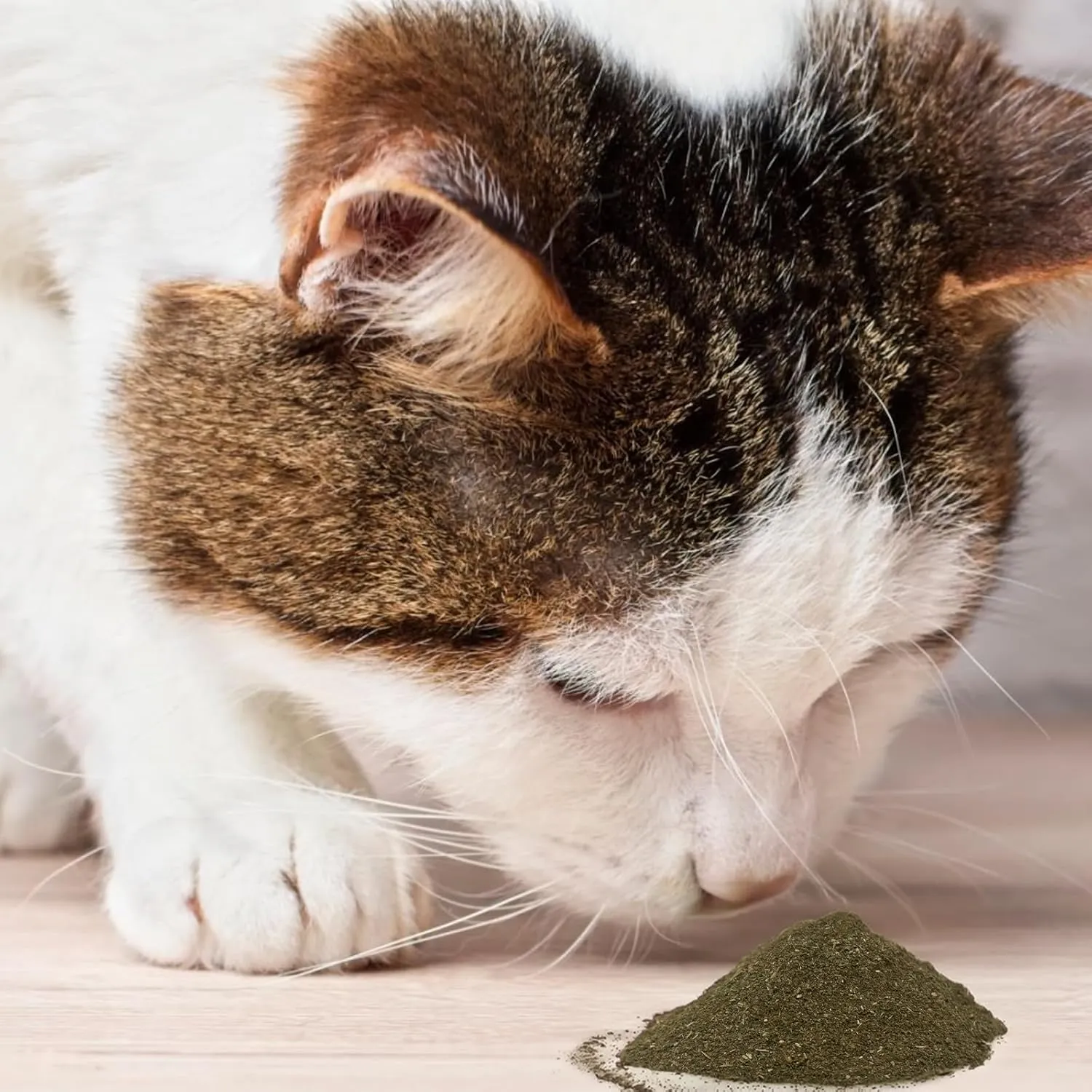 Cat Toys - Blend Silvervine Powder 25g, Catnip Alternative, 100% Natural Silver Vine Gall Fruit Powder & Silvervine Leaves, Suitable for All Cat Ages