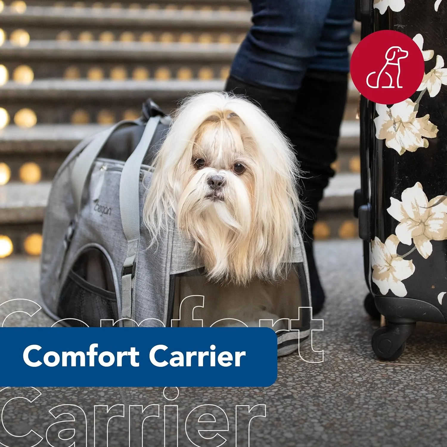Coastal Pet Bergan Comfort Carrier - Breathable Travel Carrier for Dogs & Cats - Heather Grey, 16" x 8" x 11"
