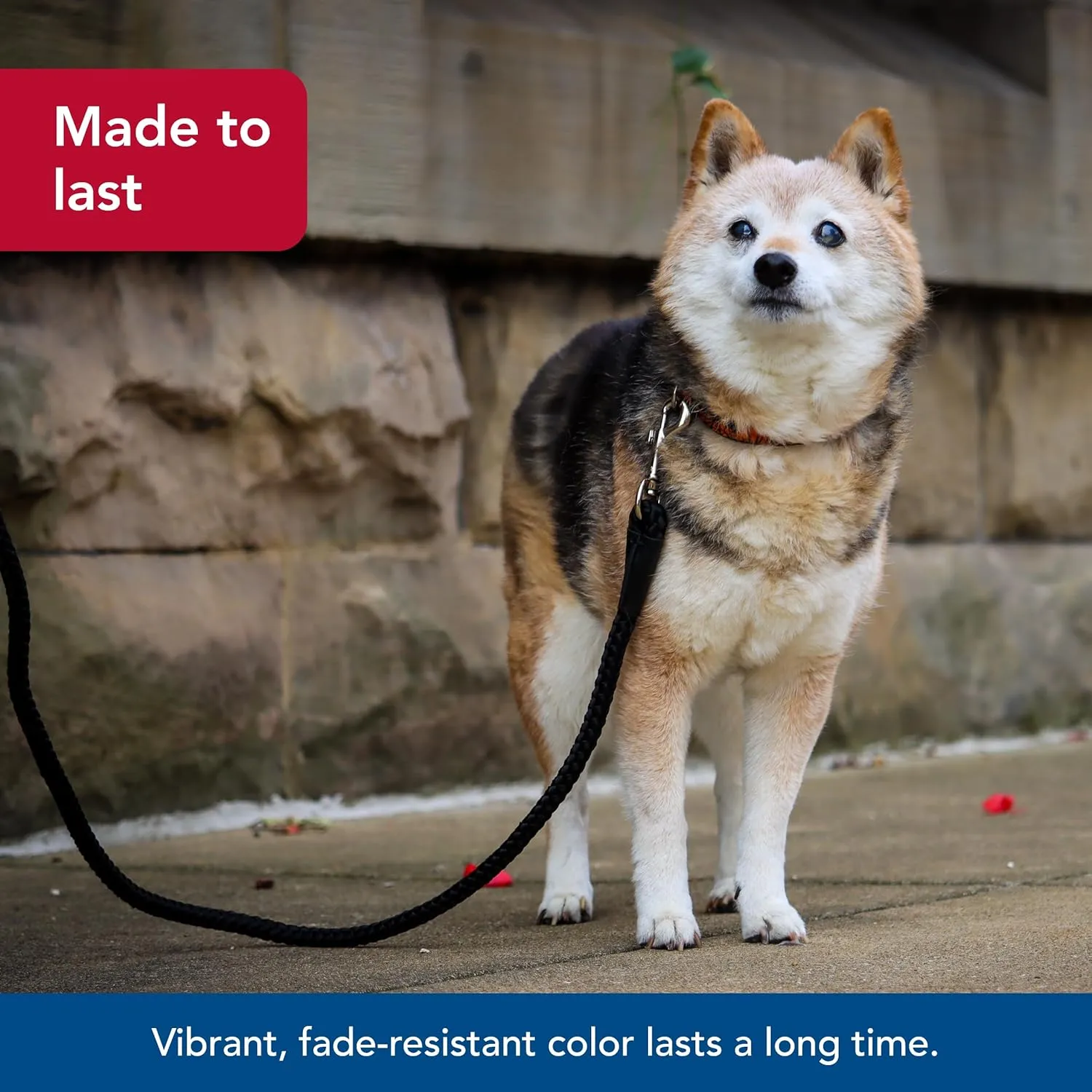 Coastal Pet Rope Dog Leash - Tangle-Free Walking - Soft-Braided Nylon - Fade-Resistant Colors with Snap Swivel Hook - Black, 1/2" x 6'