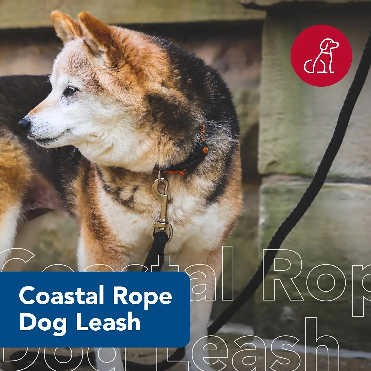 Coastal Pet Rope Dog Leash - Tangle-Free Walking - Soft-Braided Nylon - Fade-Resistant Colors with Snap Swivel Hook - Black, 1/2" x 6'