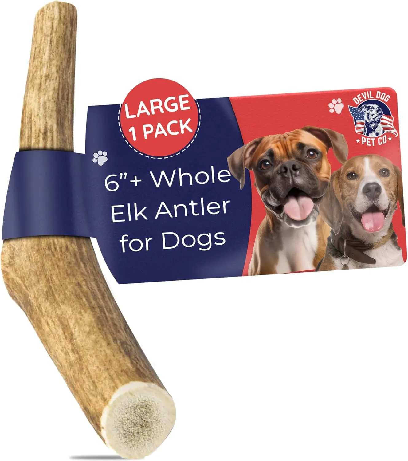 Devil Dog Pet Co. Elk Antlers for Dogs, Large 6" , 1 Pack, Grade A Long Lasting Chew for Aggressive Chewers, Premium USA Naturally Shed Antler  Healthy, No Odor, Durable Dog Chew