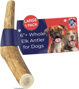 Devil Dog Pet Co. Elk Antlers for Dogs, Large 6" , 1 Pack, Grade A Long Lasting Chew for Aggressive Chewers, Premium USA Naturally Shed Antler  Healthy, No Odor, Durable Dog Chew