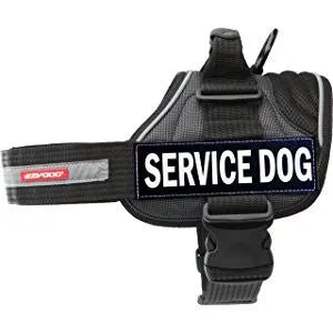 EzyDog - Harness Side Patch - Service Dog