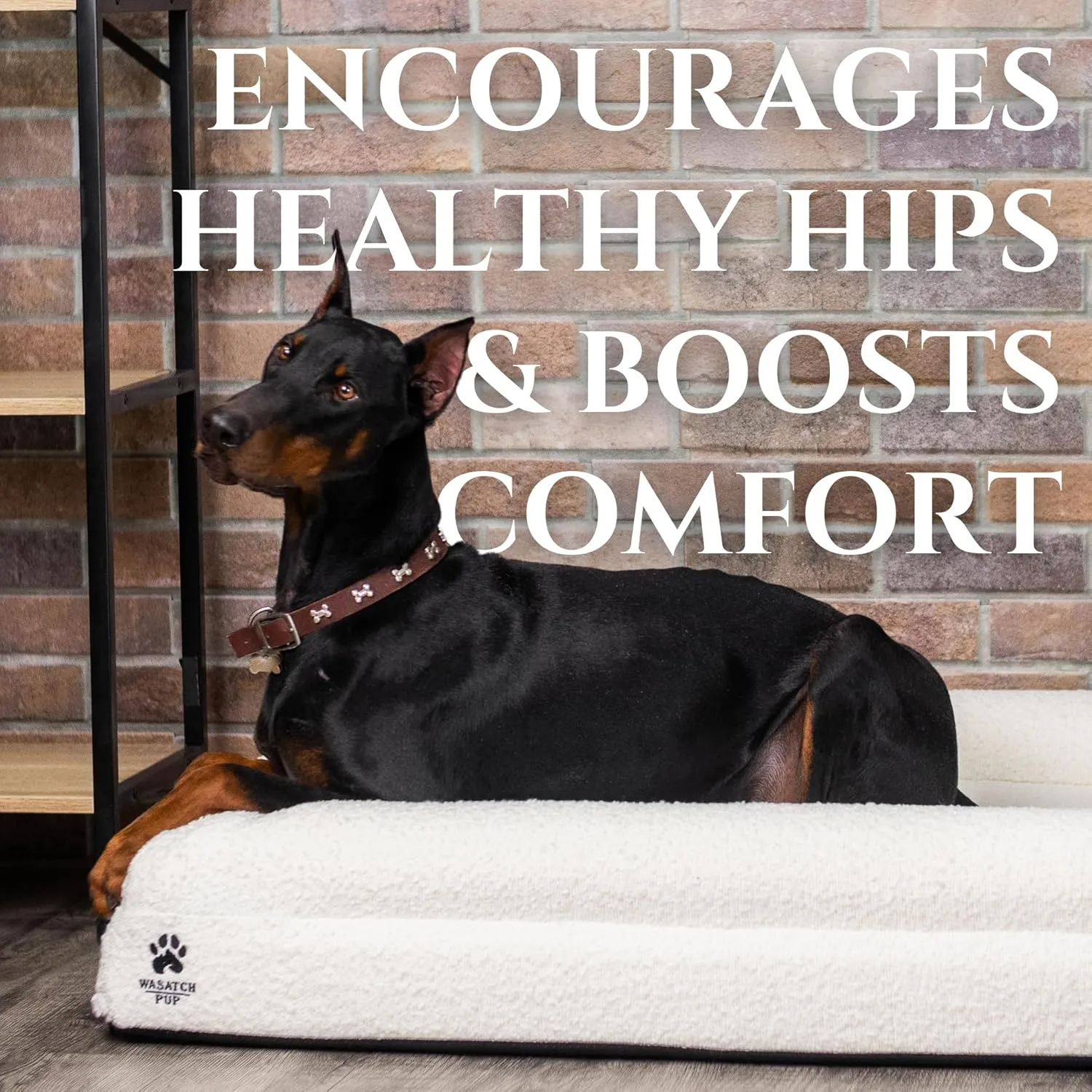 Luxury Boucle Fabric Orthopedic Large Dog Bed with Memory Foam | Breathable Comfort & Washable Dog Couch Bed with Waterproof Liner & Cover | Ideal Pet Beds for Big Dogs - Charcoal 45"x36x7