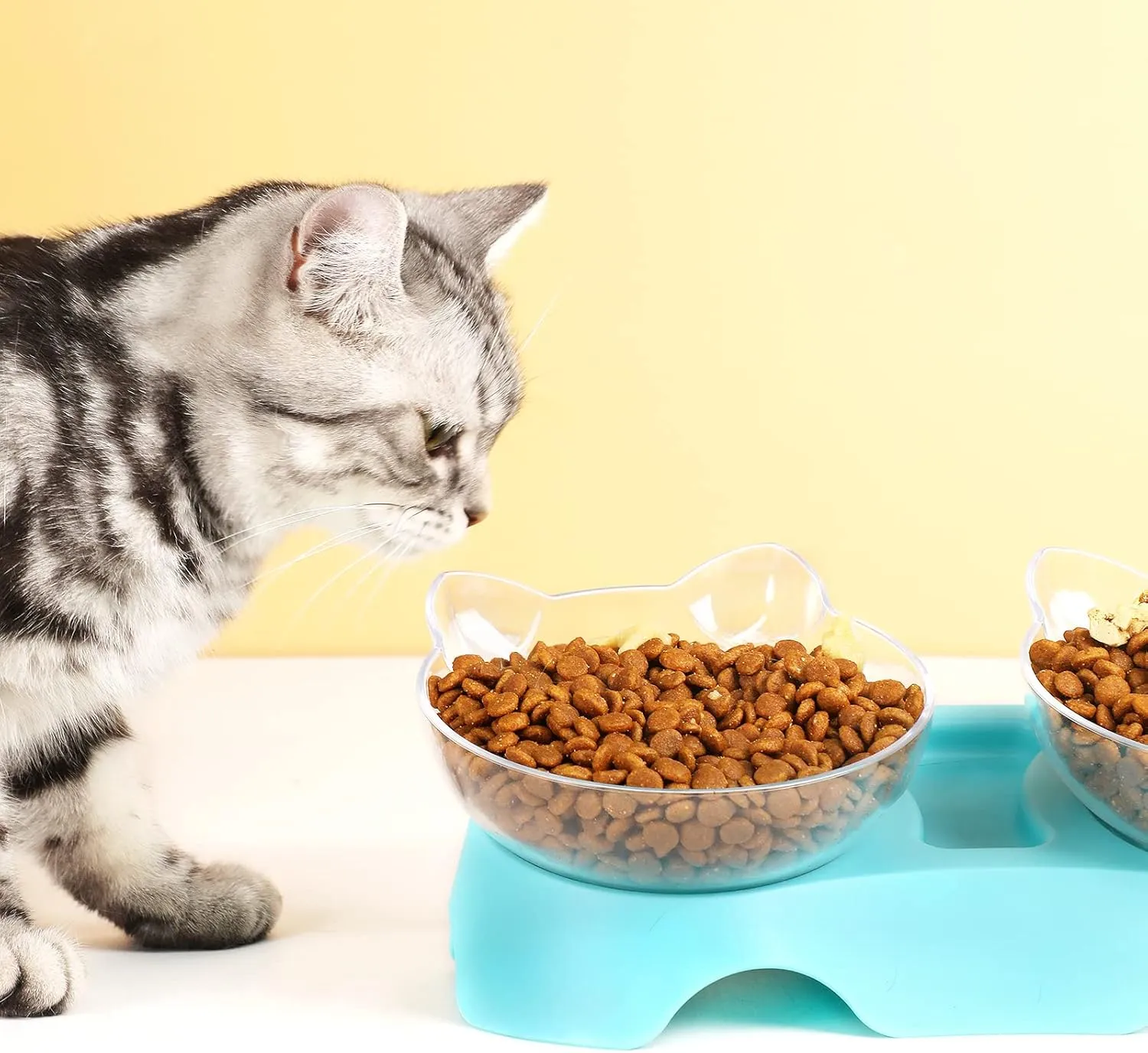 MILIFUN Cat Bowls, Cat Food Bowls Elevated Tilted, Anti Vomiting Kitty Bowl for Puppy and Bunny, Orthopedic Bowl for Indoor.(Blue)