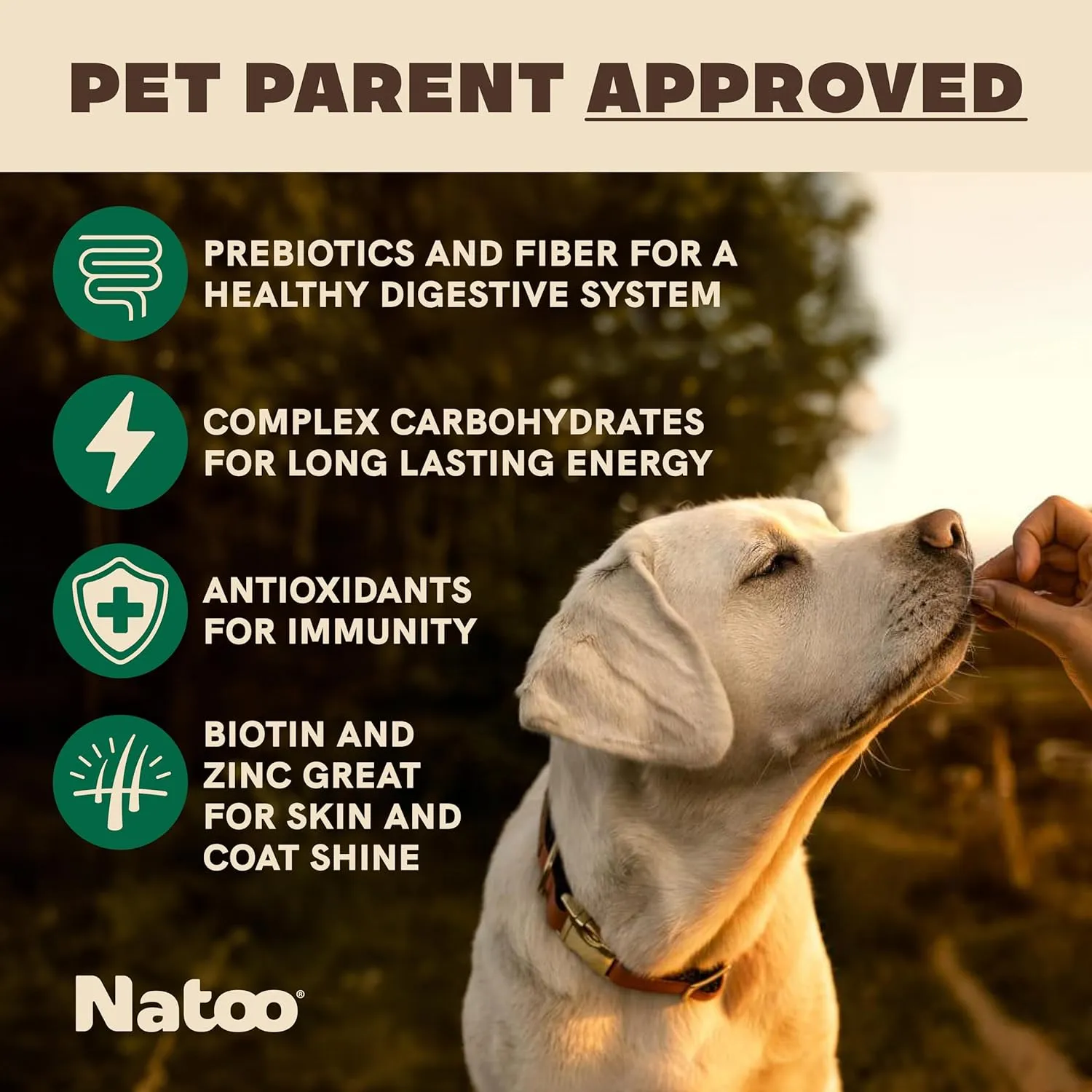 NATOO Biscuits for Small Dogs - Crunchy Treats Coconut & Mango  Healthy Natural Dog Biscuits, Rich in Omega 6, Prebiotics & Fibers, Antioxidants for Immunity (Puppies, 8 oz)