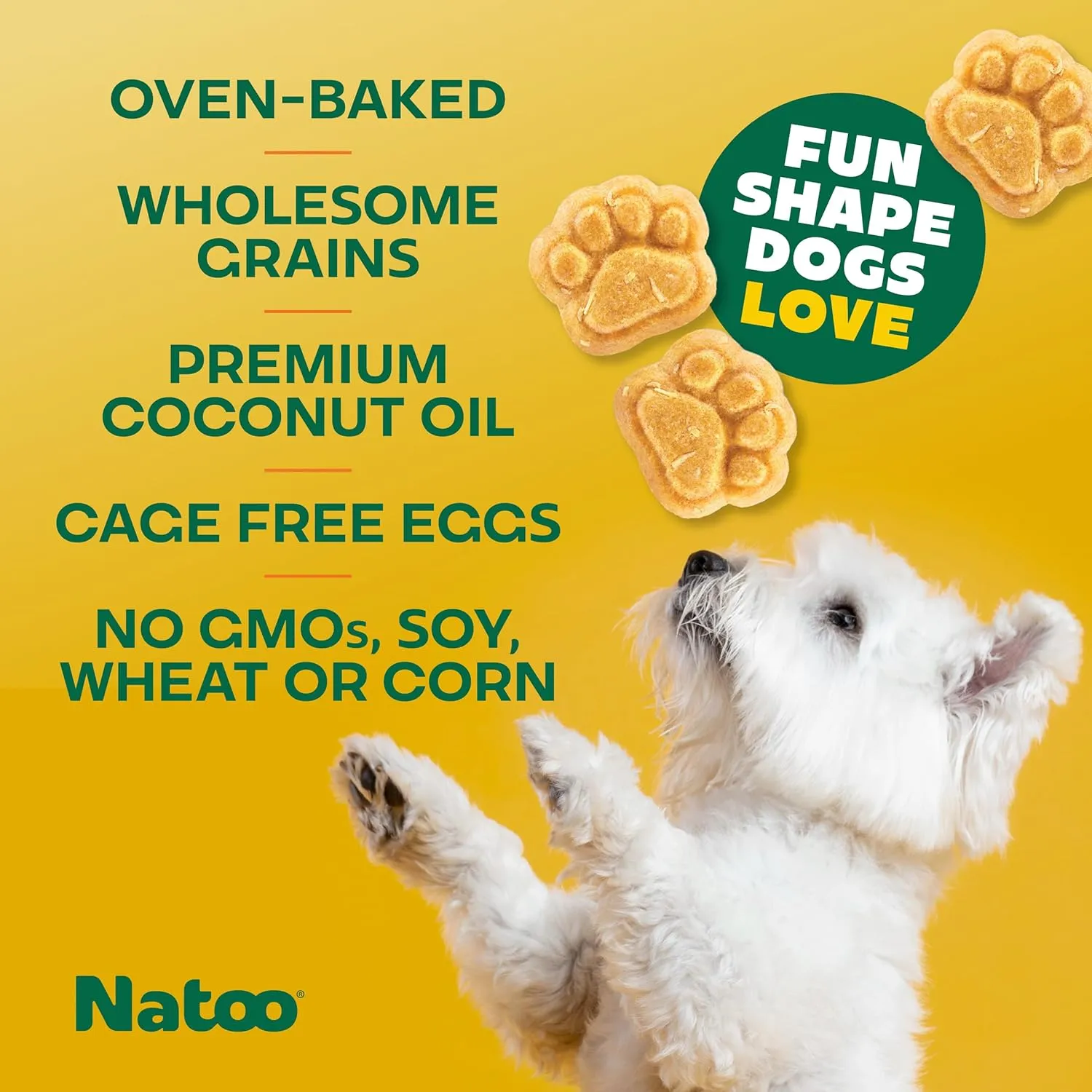 NATOO Biscuits for Small Dogs - Crunchy Treats Coconut & Mango  Healthy Natural Dog Biscuits, Rich in Omega 6, Prebiotics & Fibers, Antioxidants for Immunity (Puppies, 8 oz)