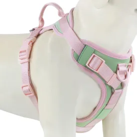 No Pull Dog Harness Adjustable Soft Padded Pet Vest with Control Handle Adorable Daily Harness for DogsMint Green XS