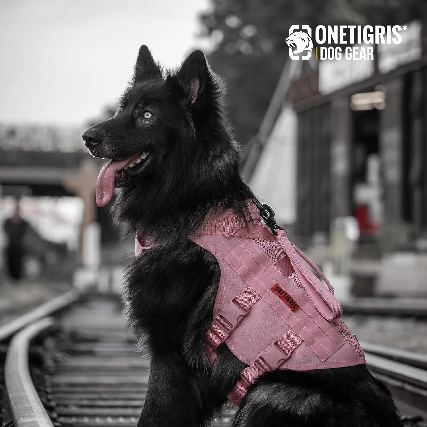 OneTigris Tactical Dog Harness for Small Dogs, No Pull Vest With Handles, Breathable Military Molle Vest for Walking Hiking Training (Pink, XS)