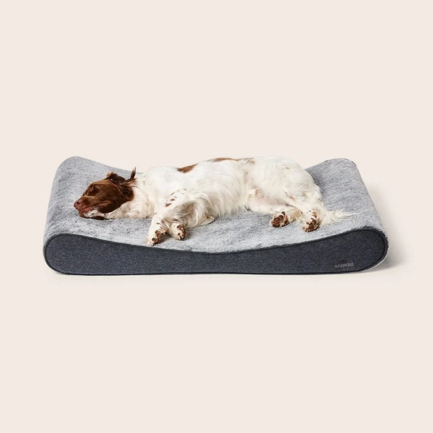 Ortho Lounger Dog Bed