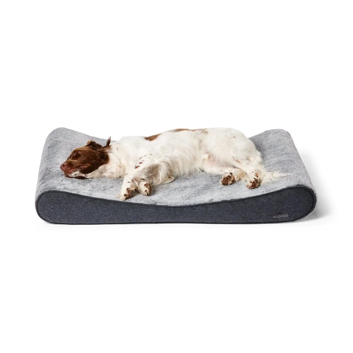 Ortho Lounger Dog Bed