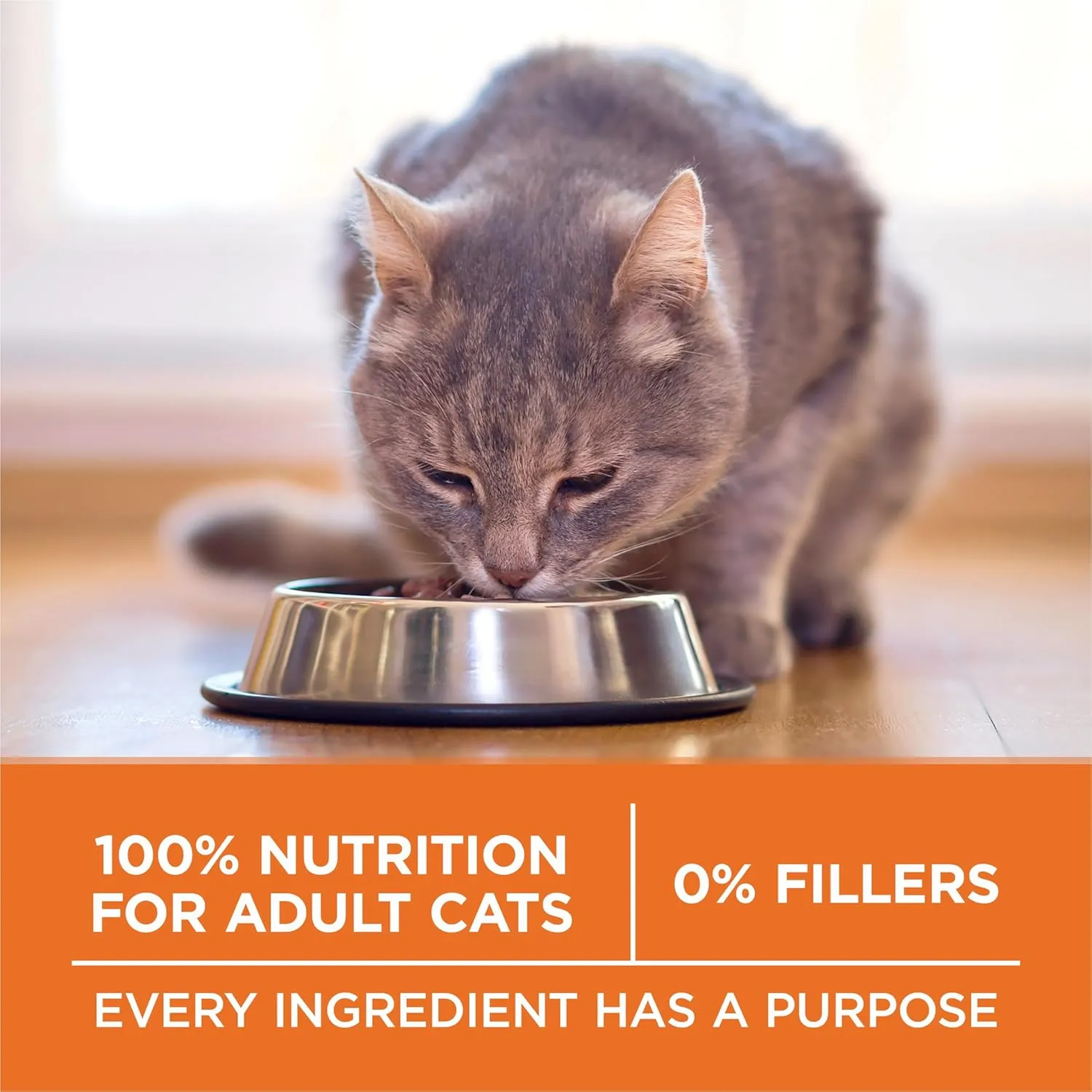 Purina ONE High Protein, Healthy Weight Dry Cat Food,  Plus Ideal Weight With Turkey - 7 lb. Bag
