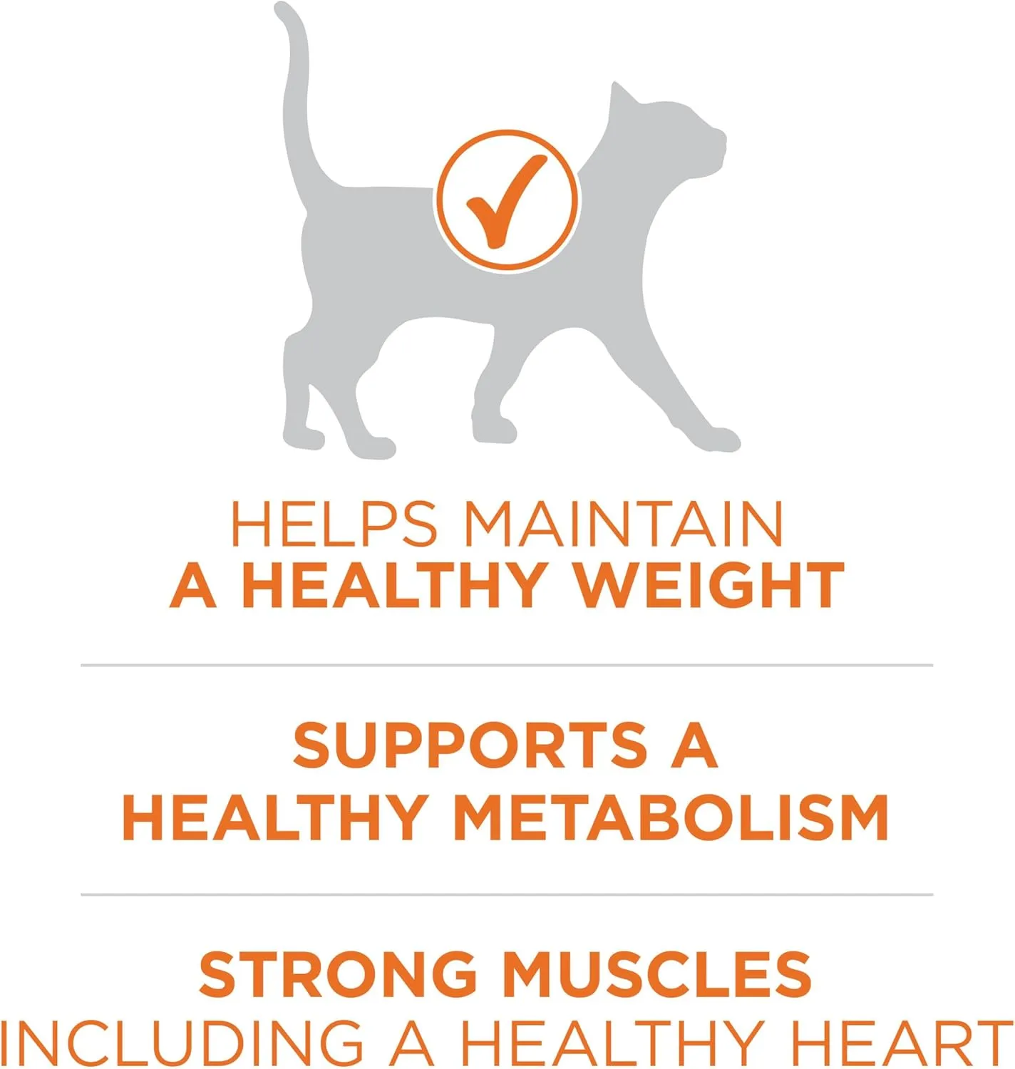 Purina ONE High Protein, Healthy Weight Dry Cat Food,  Plus Ideal Weight With Turkey - 7 lb. Bag