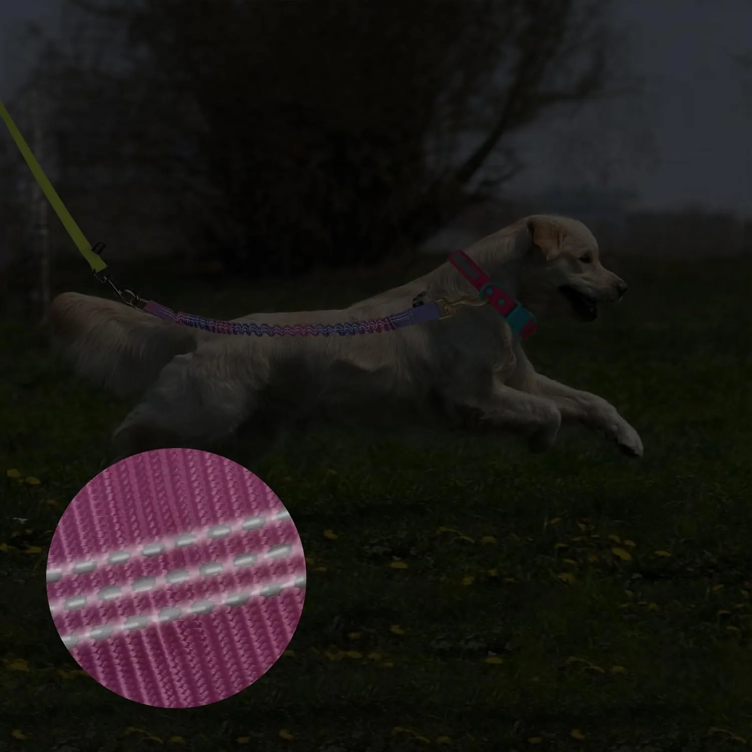 Shock Absorber Reflective Threads Bungee Dog Leash for RunningTrainningRecall 2-Pack Purple-Pink Gradient