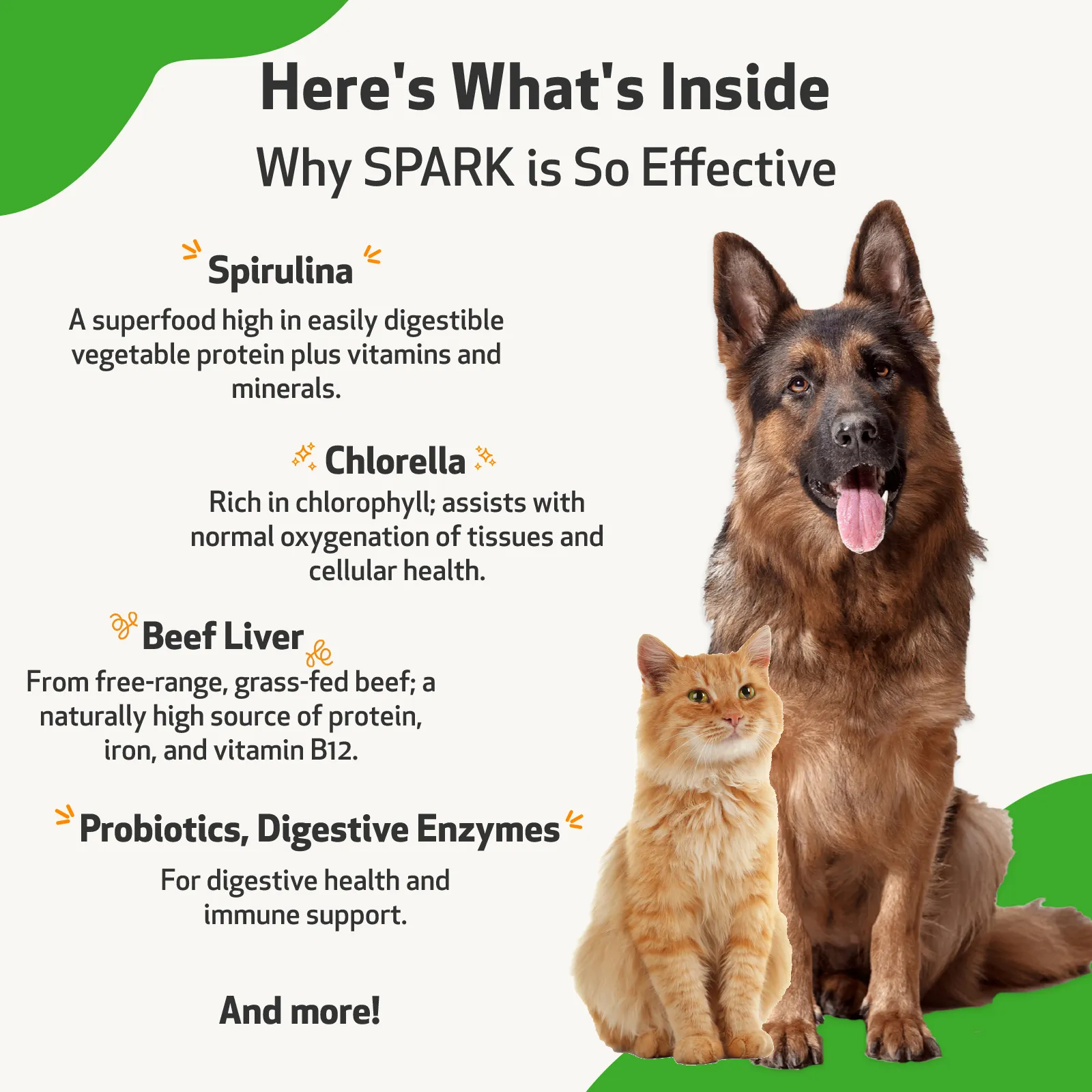 SPARK - Daily Nutritional Greens Supplement for Dogs & Cats