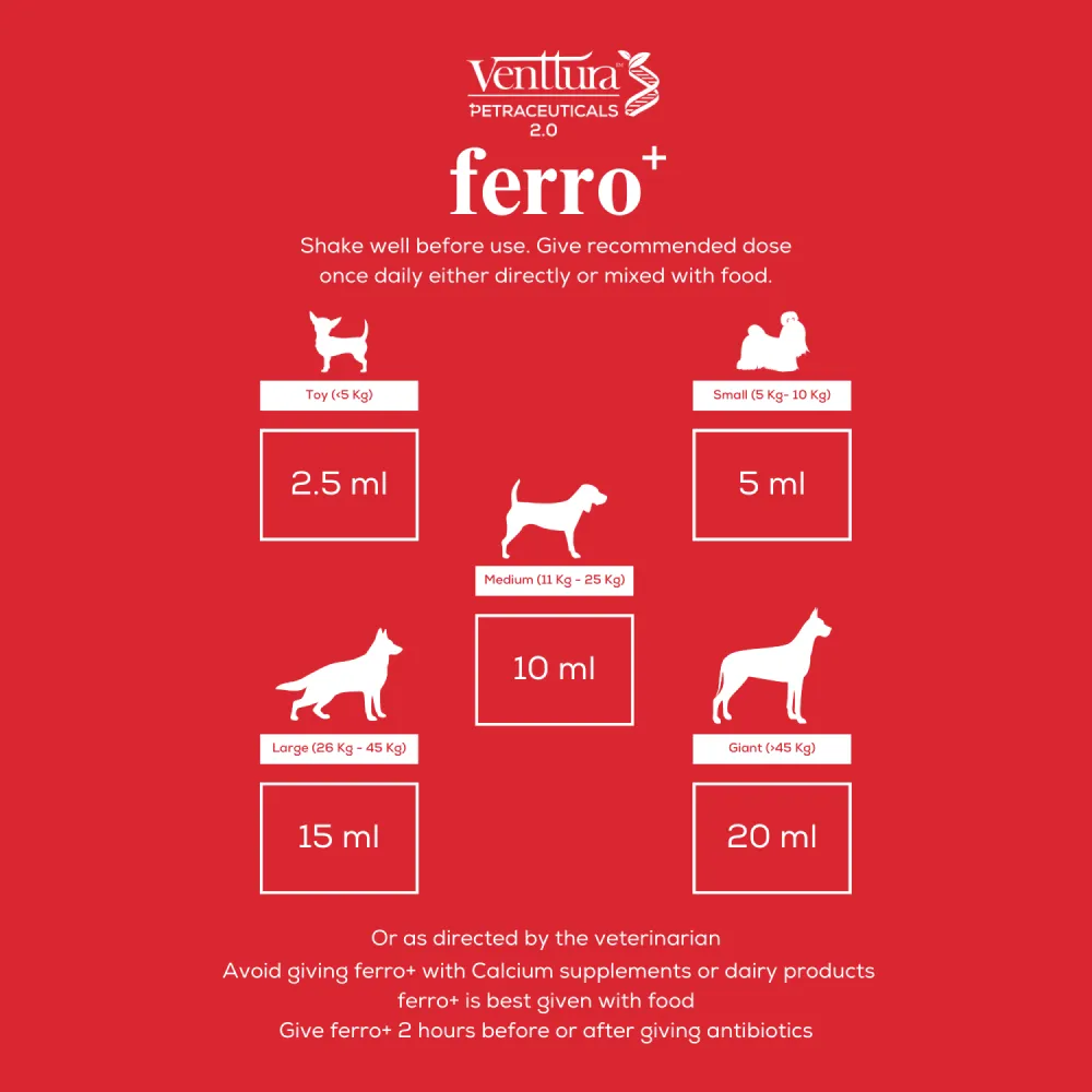 Venttura Ferro Plus Iron Supplements Syrup for Dogs