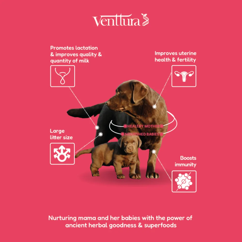Venttura Lacto Plus Milk Boosters Chewable Tablets for Dogs