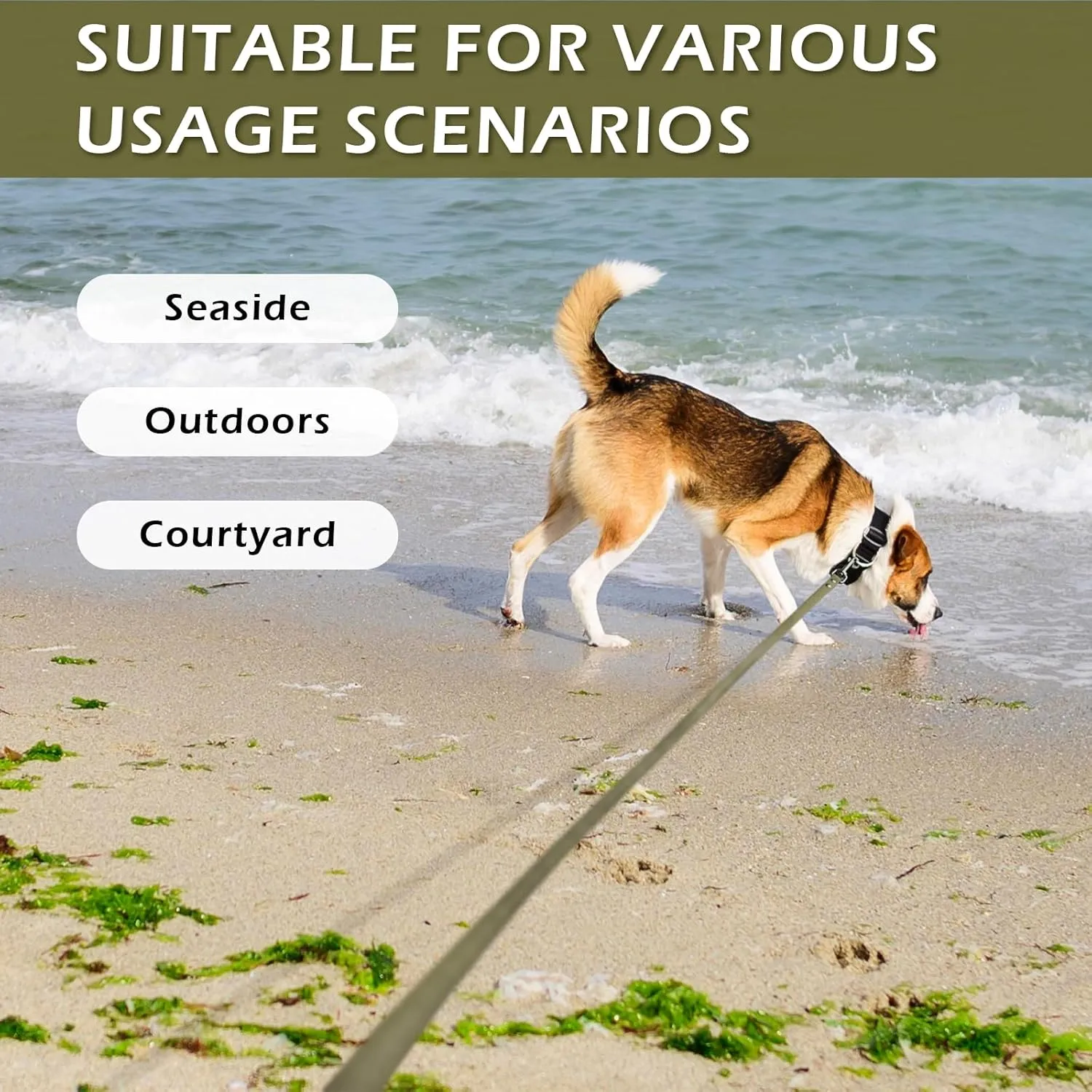 Waterproof Dog Training Leash Long Line - Army Green 10ft Outdoor Lead for Recall, Beach, Swimming, Hiking - Strong Longline for Small Medium Large Dogs