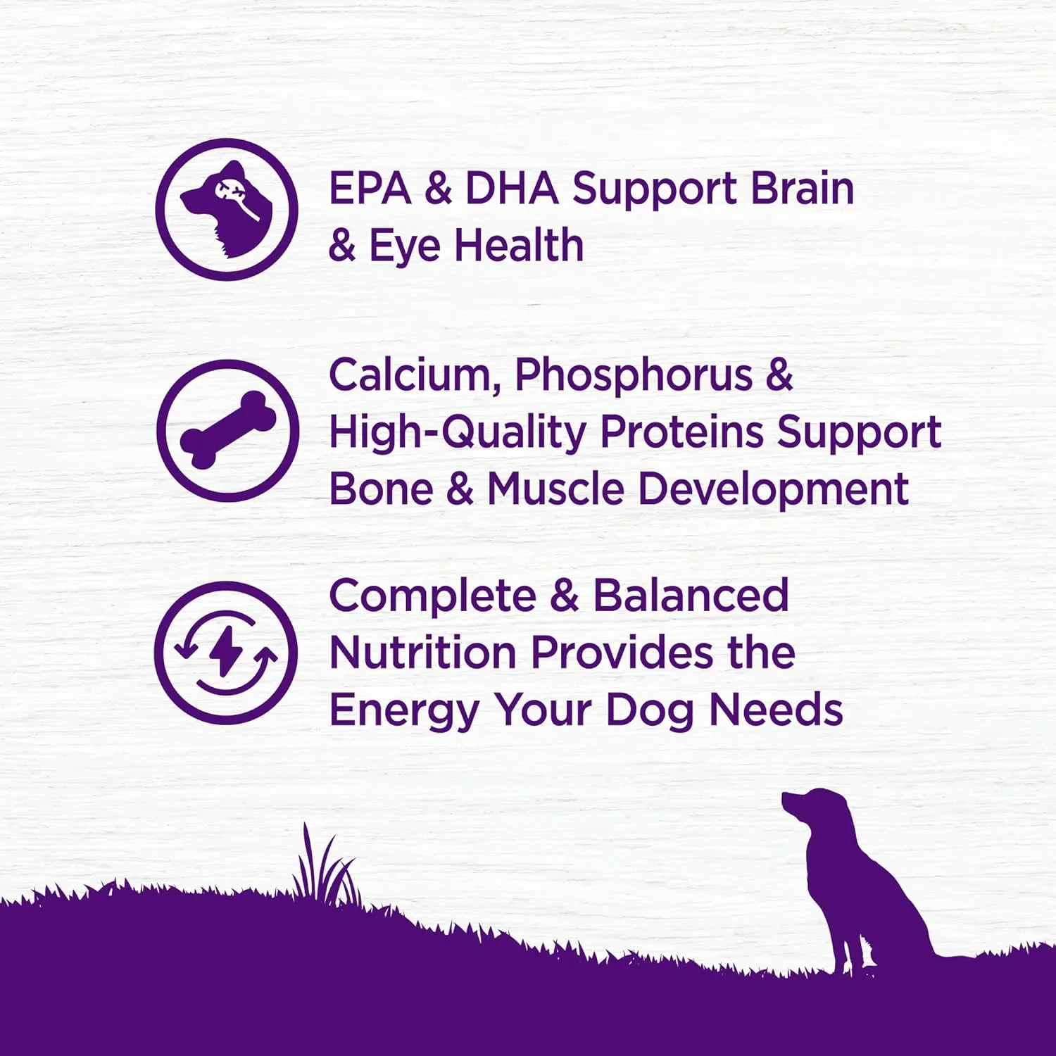 Wellness Complete Health Puppy Dry Dog Food, Wholesome Grains, Natural, Chicken, Oatmeal, & Salmon Recipe, (5-Pound Bag)