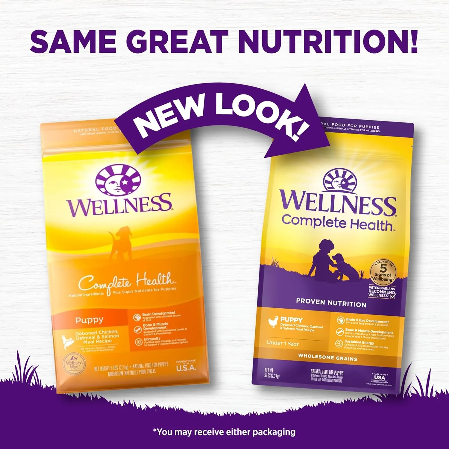 Wellness Complete Health Puppy Dry Dog Food, Wholesome Grains, Natural, Chicken, Oatmeal, & Salmon Recipe, (5-Pound Bag)